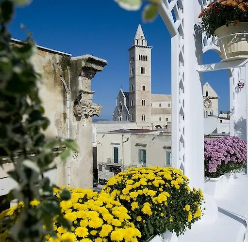 בית הארחה White House 3*